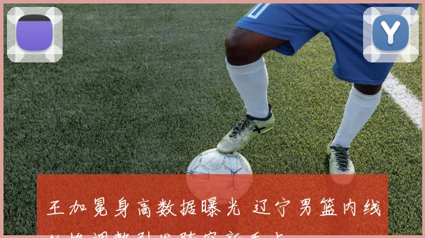 王加冕身高数据曝光 辽宁男篮内线轮换调整引发阵容新看点