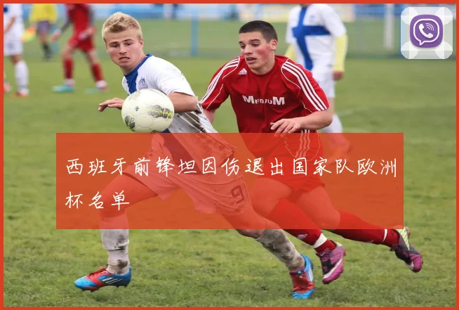 西班牙前锋坦因伤退出国家队欧洲杯名单