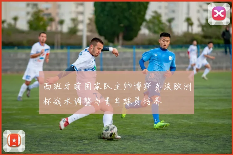 西班牙前国家队主帅博斯克谈欧洲杯战术调整与青年球员培养